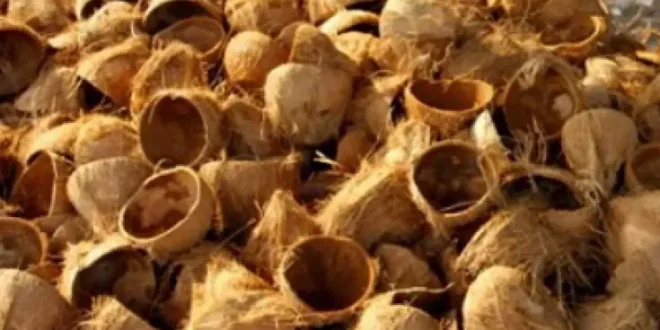 tempurung kelapa termasuk contoh jenis limbah keras 0